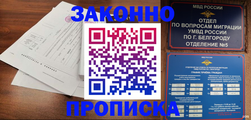 прописка в Ельне